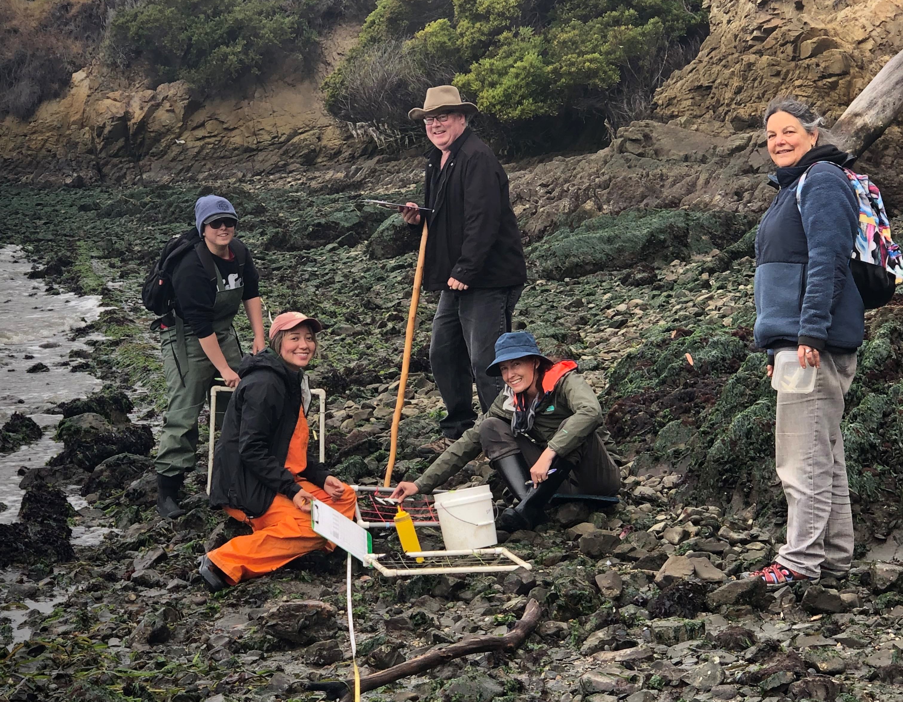 People on the rocky intertidal with field equipment for monitoring oysters. 