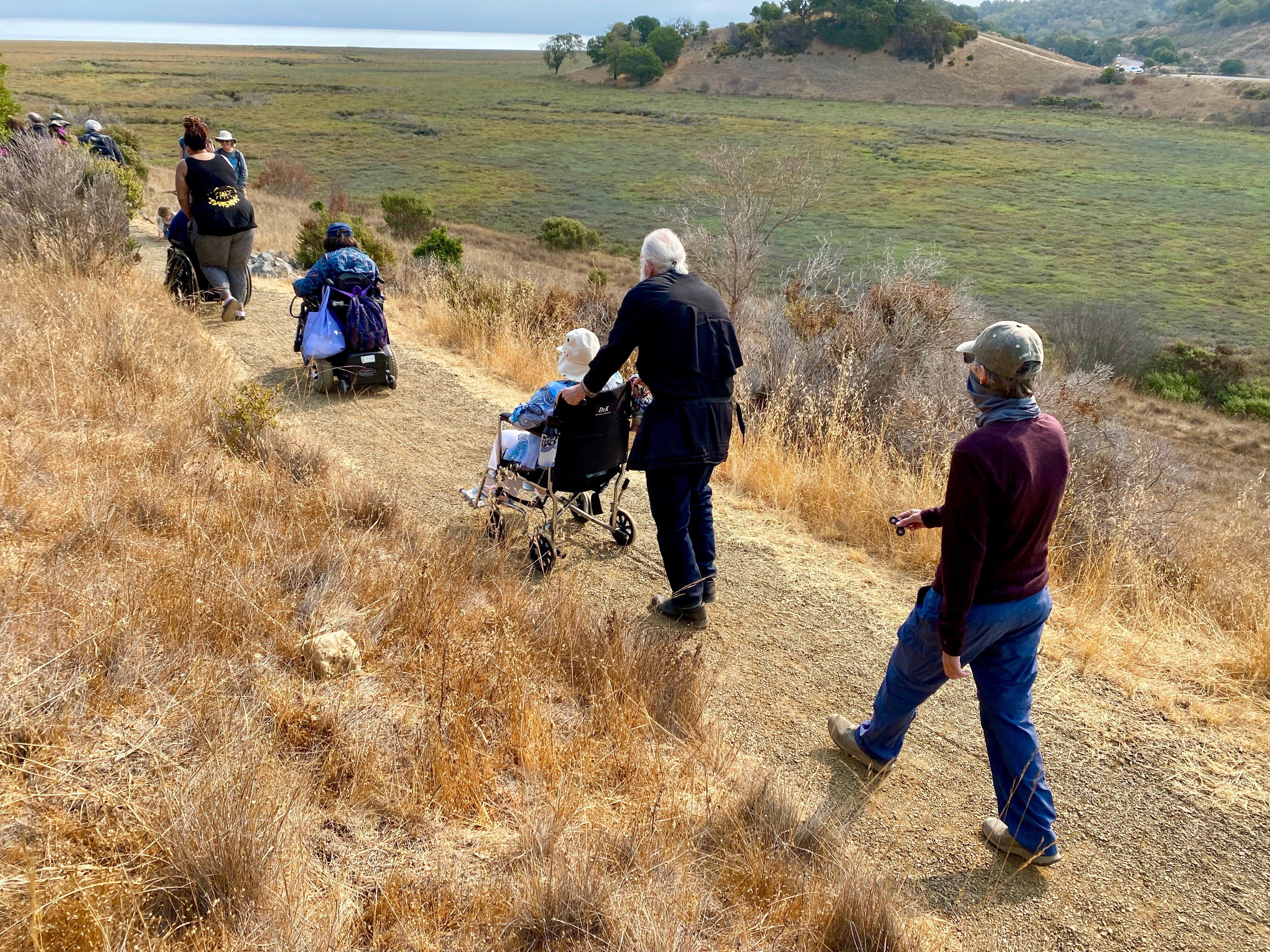 People walk in a line on the trail at China Camp. Some are assisted in wheelchairs. The green of the marsh colors the background. 