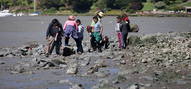Kids on the rocky shore doing an educational activity
