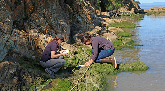 Staff performing monitoring work.