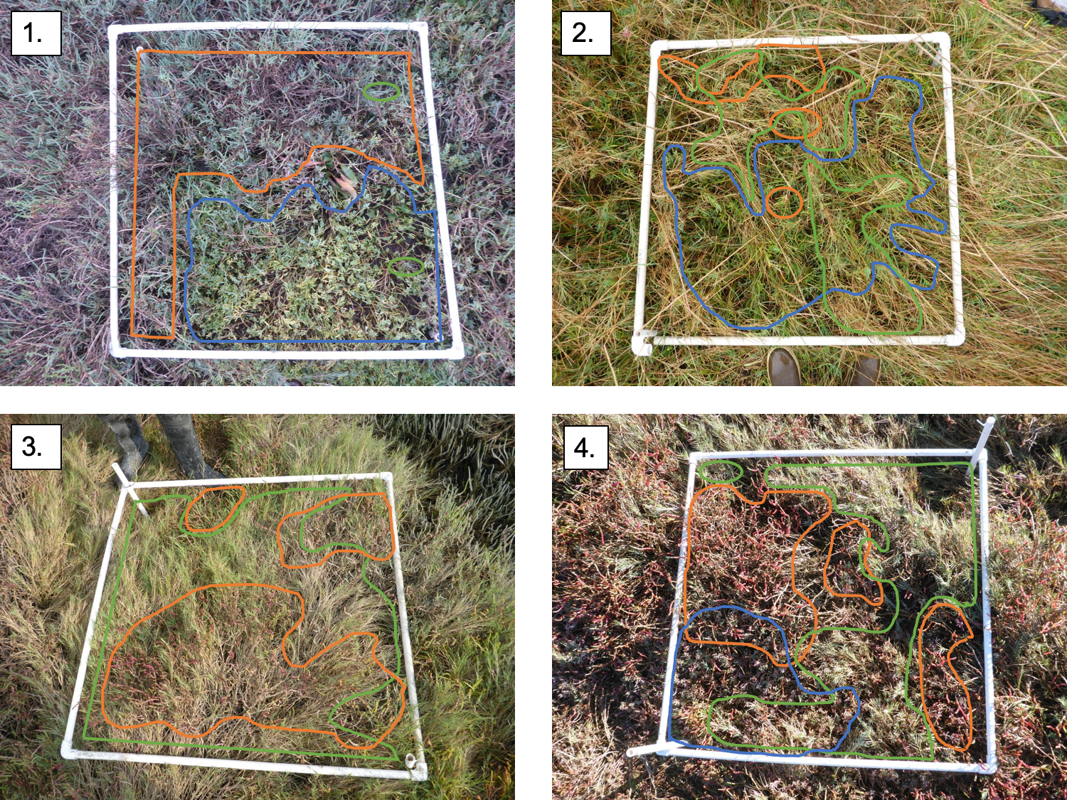 virtual id plots with lines