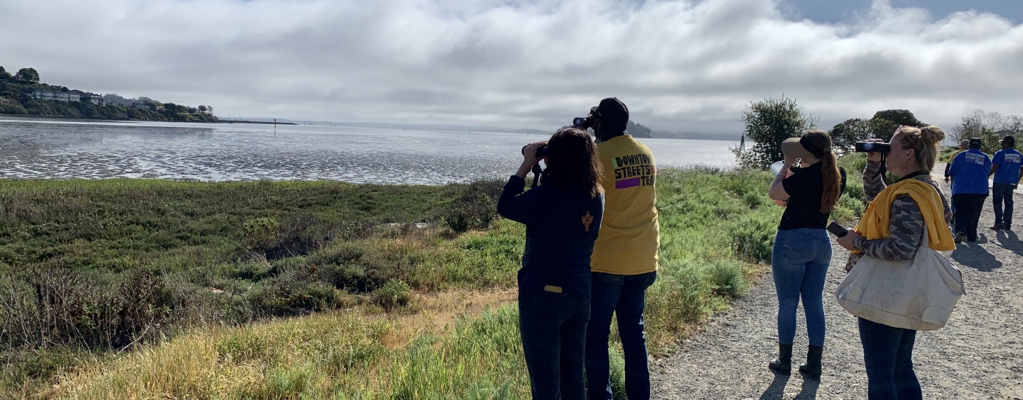 Group of people, some wearing shirts that say Downtown Streets Team, stand by the marsh overlooking the water with binoculars in hand to see birds.