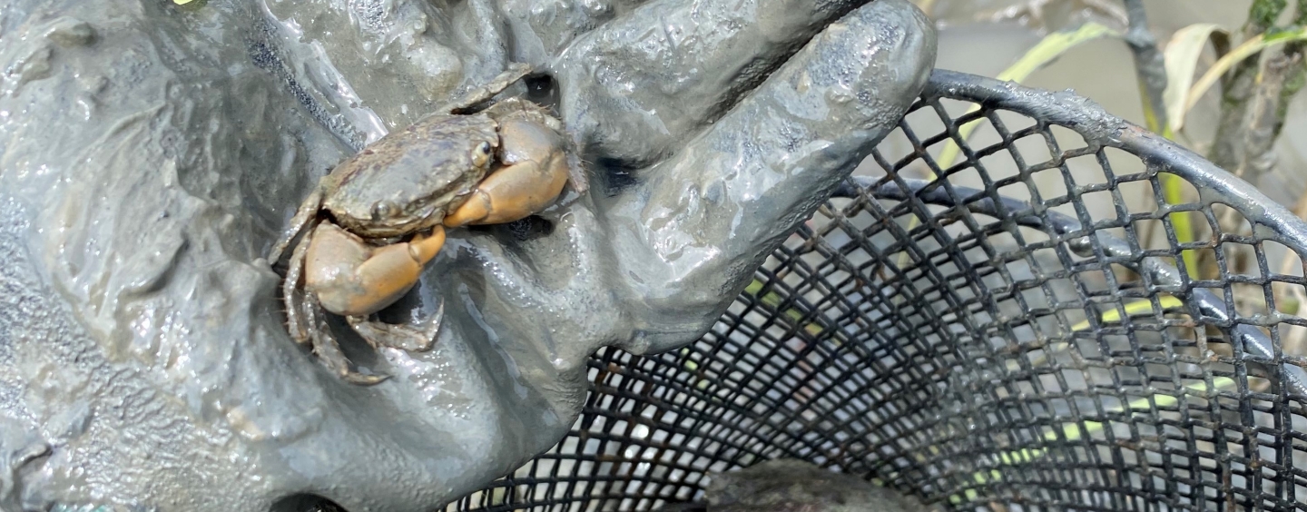 Julie holding a crab