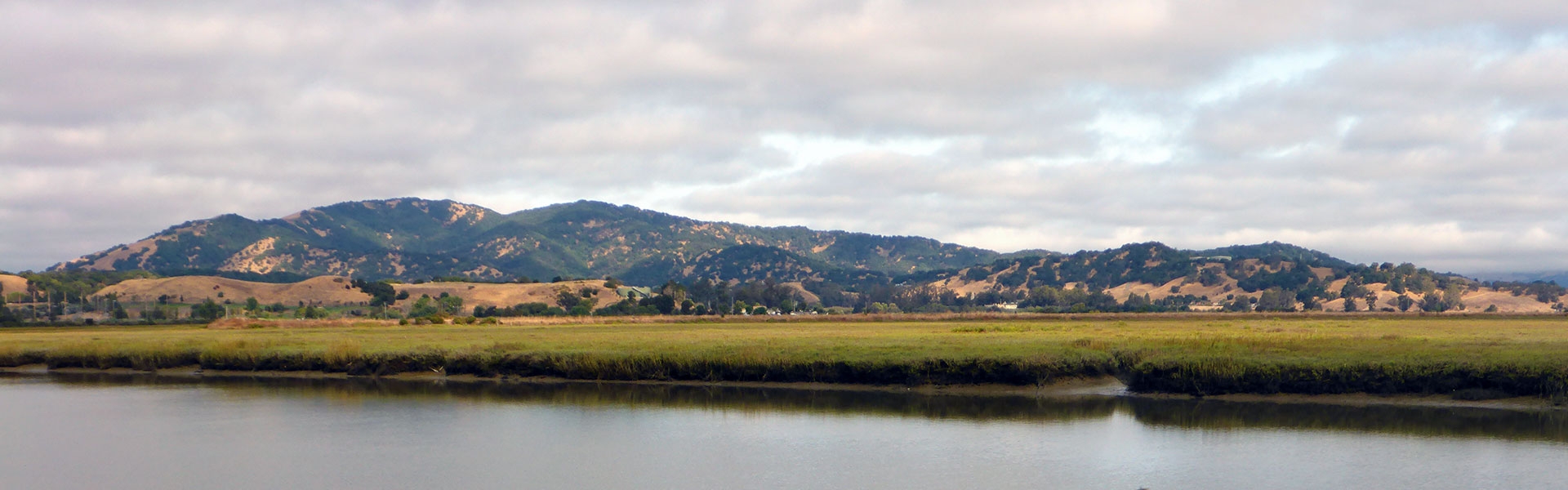 Landscape in San Francisco estuary