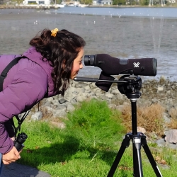 Bella wearing a purple jacket looking through a spotting scope. She is standing nearby a rocky water's edge.
