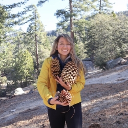 Picture of Bella with Jeffrey Pine cones.