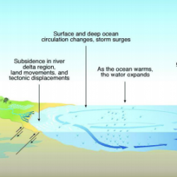 A diagram of sea level rise