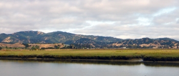 Landscape in San Francisco estuary