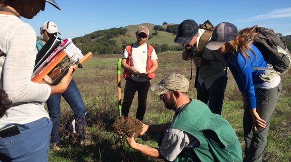 Wetland delineation training