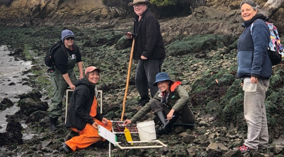 People on the rocky intertidal with field equipment for monitoring oysters. 