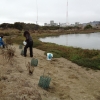 Sampling Suaeda plant as part of Nyri's research study.